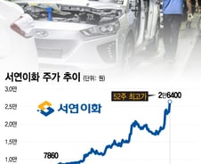 "브레이크 없이 쌩쌩 달린다"…올해만 200% 넘게 뛴 '이 업종'
