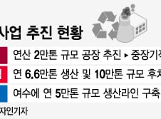 [단독]'변신에 안간힘'쓰는 LG화학, 열분해유 공장 증설도 검토