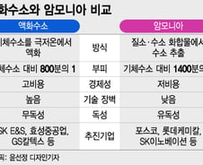 [이슈속으로]'암모니아? 액화수소?'..수소사업 뭘로 시작해야 하나요
