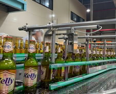 [르포] 1초에 17병 '차르륵'…테라 추월한 켈리, 쉼없이 담겼다