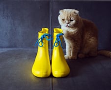 레인부츠 벗었더니 흰 가루가 우수수…방치했다간