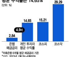 더는 호락호락 당하지 않아…'2차전지 랠리' 이끈 개미, 상반기 수익은