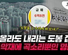 집값 '반토막' 도봉, 악재만 남았다?…"여기서 더 떨어져?"[부릿지]