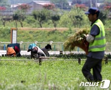 태풍 '카눈' 때문에 밤에도 어질어질…온열질환자 누적 1385명