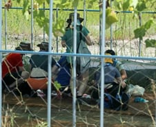 병원 찾은 잼버리 참가자 992명… 중앙응급의료센터 "인력 파견"