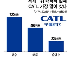 중학개미가 사랑한 배터리 공룡, 中 증시 제자리 걸음에도 '선방'