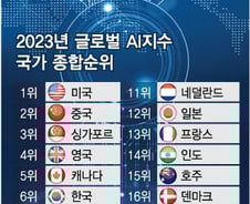 'AI 역량' 세계 최상위권 …한국, 'AI 신질서' 앞에서 이끈다