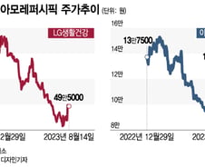왕년에 잘나갔던 화장품 황제주…다시 전성기 맞이할까?