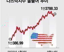 다시 인플레 걱정…기술주 반등, 국채 금리에 달렸다[오미주]