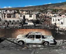"태풍처럼 폭염에 이름 붙이자"…세계가 바뀐 기후에 대응하는 법