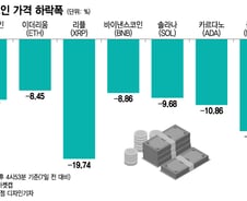 비트코인 10분 만에 8% 폭락…이더, 리플, 알트코인도 '뚝뚝'
