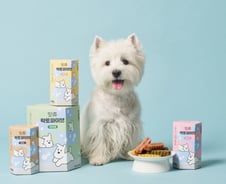 핏펫, 유산균 함유한 반려견 간식 '잇츄 락토파이브' 출시