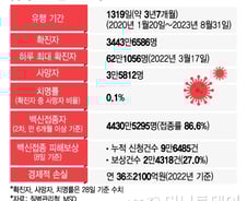 "전세계 확진자 85.6%는 한국"…전수조사에 진심인 유일한 국가