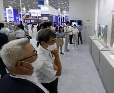 IT 성수기·차량용 전장 모멘텀에 빛 보나…디스플레이株 꿈틀