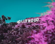 스트리밍 사업 모델 '폭망'... 대안 찾는 할리우드[PADO]