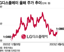 대장주 실종된 국내 증시…디스플레이 업종 한번 볼까?