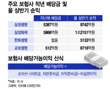 [단독]순이익 늘었는데 배당 못하는 보험사…정부, 법개정 검토