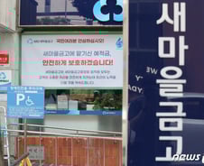 새마을금고 뱅크런에 '화들짝' 놀란 행안부 "대출도 설립도 깐깐하게"