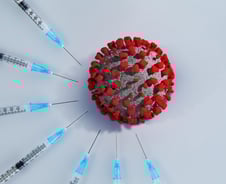 [검색폭발 이슈키워드] 피롤라 변이