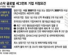 '글로벌 세그먼트' 대안 될까…코스닥 시장 더 커지려면?