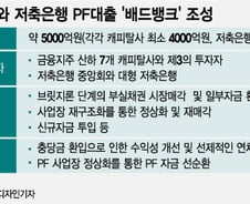 [단독]캐피탈사·저축은행, 5000억 규모 PF대출 '배드뱅크' 만든다