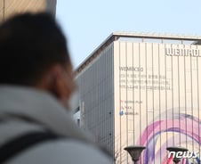 "다 떨어질 때 혼자 오르네"…상한가 찍은 위메이드 그룹주, 이유는?