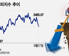 뚝 떨어진 코스피, 이젠 좀 다를까?…"2500 밑에선 사라"