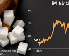 설탕에 코코아까지 신고가…슈퍼 엘니뇨가 불러온 원자재 대란