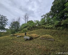 "벌초할 줄 몰라요" SOS…대신 조상묘 찾아가 1시간째 '윙윙~'[르포]