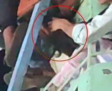 [더영상] '놀이공원 대참사' 머리 끼인 印여성…학원가서 흉기 휘두른 40대