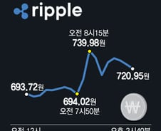 20분 만에 6.62% 급등…美 법원 중간항소 기각에 오른 리플