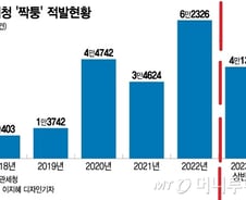 [단독]알리익스프레스 상륙 후 중국발 짝퉁 6배 늘었다