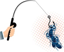 [기자수첩]'400% 수익률 보장' 비상장주식의 유혹