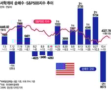 테슬라 260불 넘자 1억불 순매도…"불안한데 이쯤에서 팔자"[서학픽]