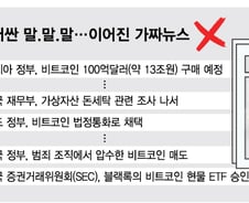 30분만에 7% 급등…가짜뉴스에 출렁인 비트코인, 전에도 그랬다