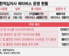 [단독]'4300만원' 메타버스 하루 쓰고 폐기…대한적십자사 혈세 '펑펑'