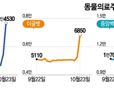 국내 첫 발병, 럼피스킨 비상…상한가 친 '이 종목'
