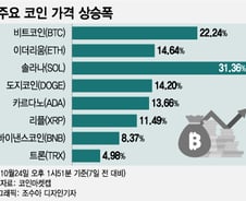 크립토 스프링 올까…코인 시가총액, 일주일 새 201조원 늘었다