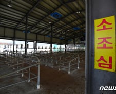 [검색폭발 이슈키워드] 럼피스킨병