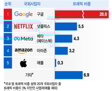 [더차트] 넷플릭스 5배…국내 트래픽 1위 '구글' 망 사용료는 '0원'
