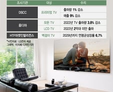 중형차 한대값이면 어때?…'벽걸이 TV' 흥행의 이유[이슈속으로]