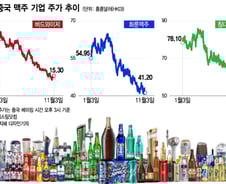 칭다오뿐만 아니었다…中 맥주 대장주, 경기 침체에 '우수수'