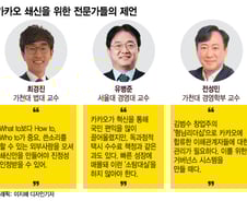 "라이언 상무 구하기"…카카오, 건강한 기업으로 거듭나려면