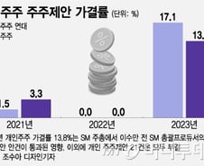 "기업바꾸자" 목소리 높여도 통과율 5%불과한 주주운동