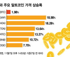 비트코인 주춤하자 알트코인 날았다