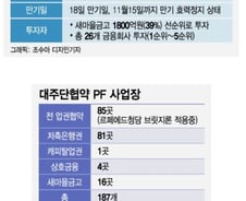 [단독]PF부실 도미노 한숨 돌렸다... 새마을금고, 만기연장 "반대→검토"