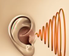 노사연 "청력 잃었다" 충격 고백…단 3일만에 청력 잃는 '이 질환'