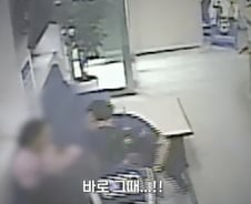 [더영상] 목에 흉기 댄 여성에 몸 던진 경찰…반려견 변 치우다 택시 치인 女