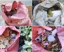 "빗자루 치고 가는 차에 '아찔'"…낙엽길 낭만? 이들에겐 '전쟁'[르포]