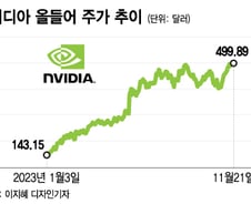 엔비디아, 2번 연속 '어닝 서프라이즈'에도 주가는 하락[오미주]